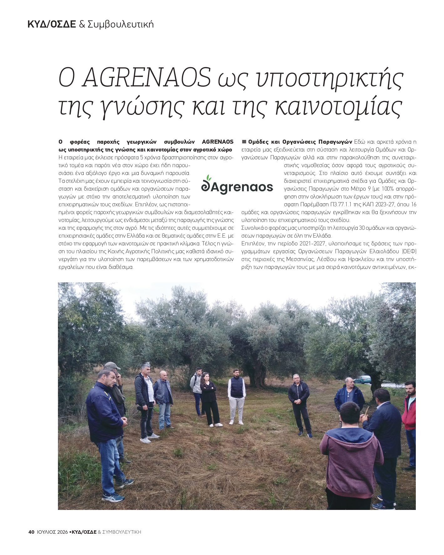article photo